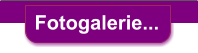 Fotogalerie...